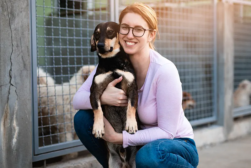 Adopter un animal - un geste plein d-amour et de responsabilite